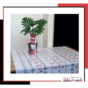 تولید کننده ظروف یکبار مصرف در اصفهان