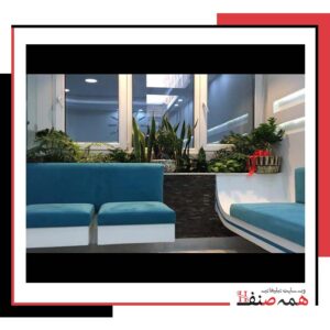 دندانپزشکی بیماران با ریسک بالا