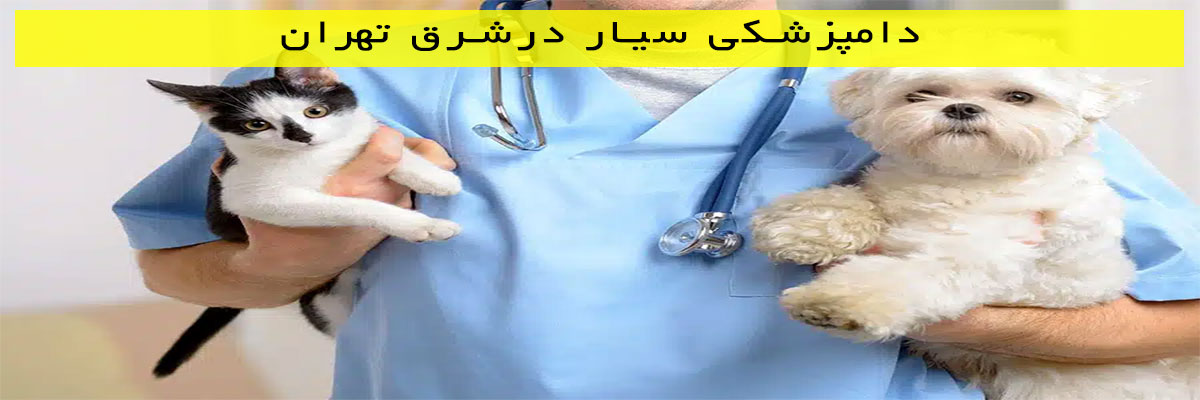 دامپزشکی-سیار-درشرق-تهران دامپزشکی سیار درشرق تهران