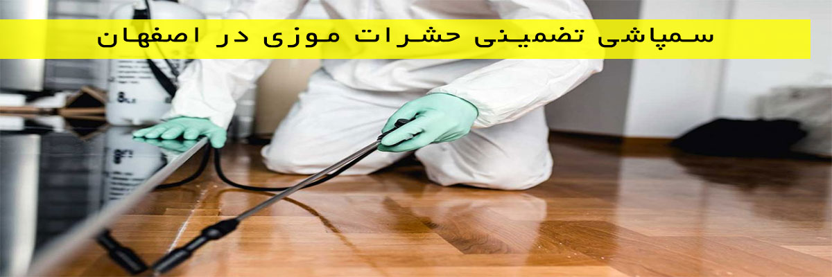 سمپاشی-تضمینی-حشرات-موزی-در-اصفهان سمپاشی تضمینی حشرات موزی در اصفهان