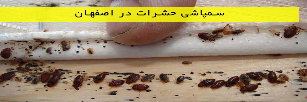 سمپاشی-حشرات-در-اصفهان سمپاشی حشرات در اصفهان